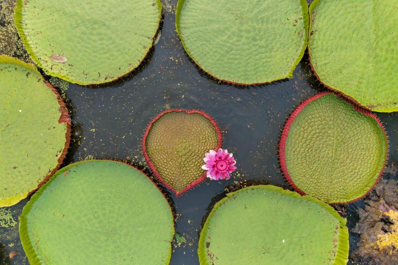 Baanrai Khunya บ้านไร่คุณย่า Ban Huai Maenam Noi Eksteriør bilde